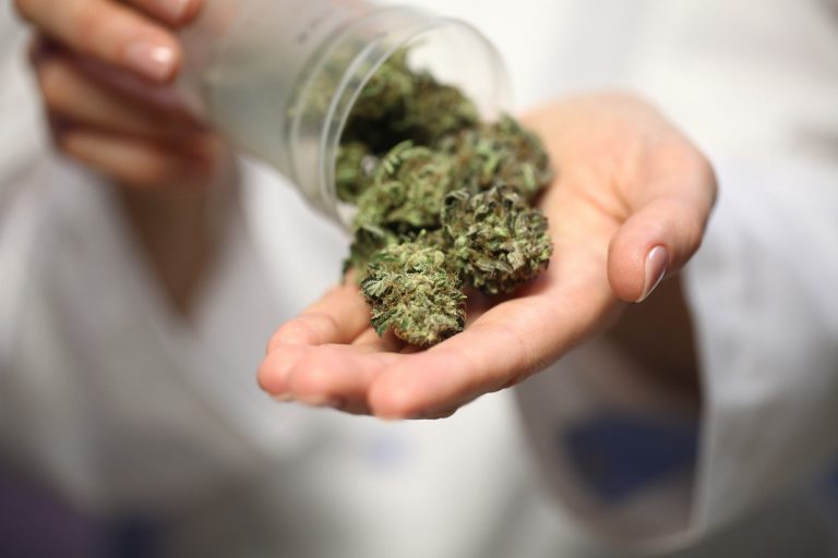 weed mississauga