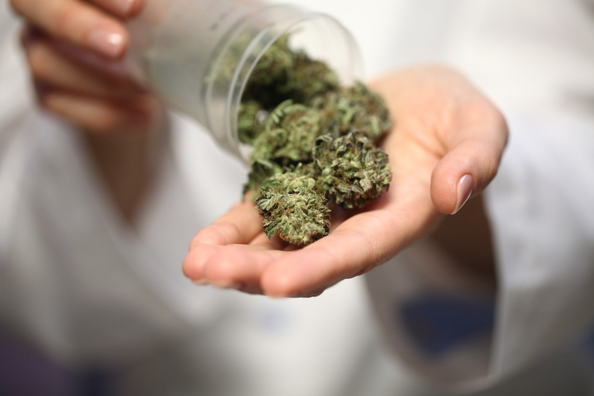 weed mississauga