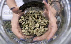 weed delivery