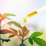 CBD Cannabis oil
