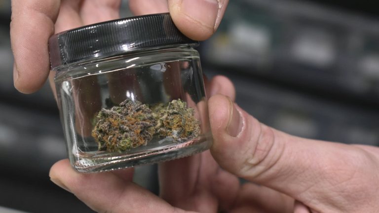 Where to find a dispensary delivery of weed in Mississauga?
