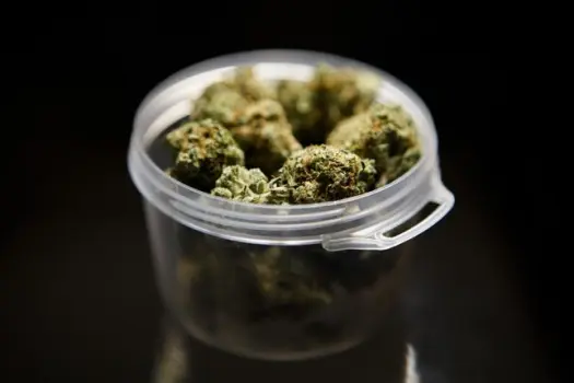 Dispensary Mississauga