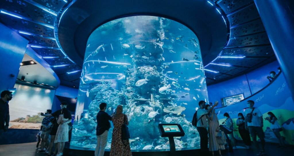 Dive into Wonder: Exploring the Enchanting Sea Aquarium Sentosa