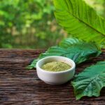 green borneo kratom benefits
