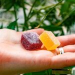microdose thc
