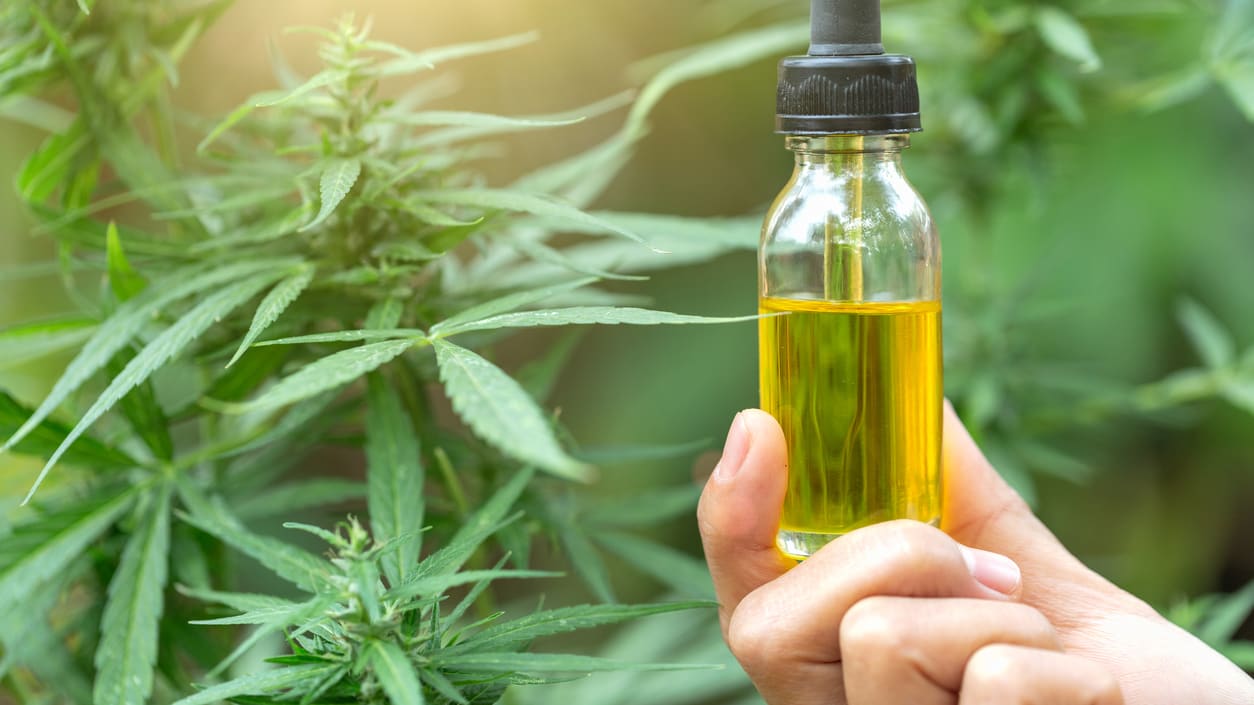 cbd oil canada 